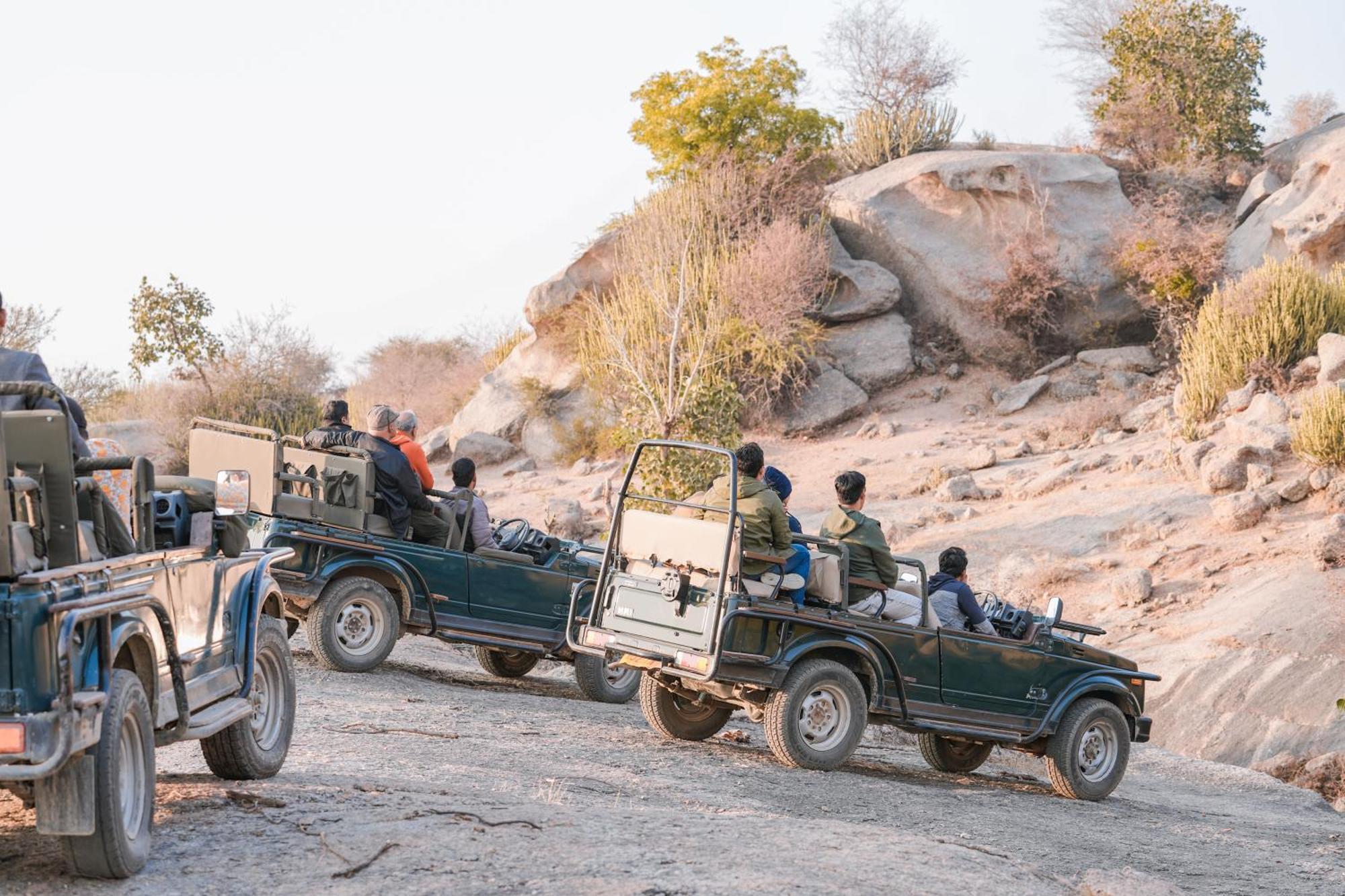 Jawai Wildlife Safari Camp Bed and Breakfast Nana Exterior foto